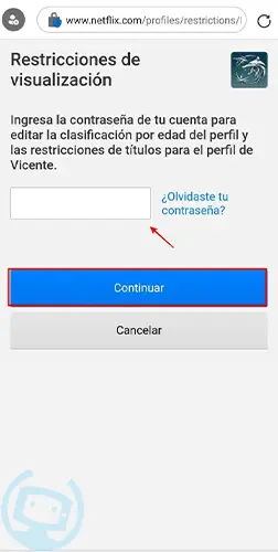 que es netflix