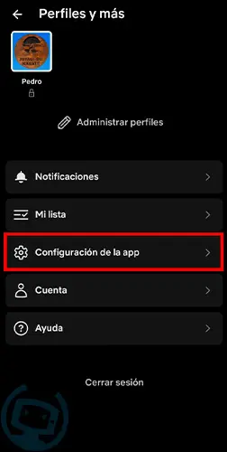 descargas en netflix