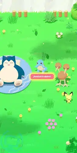pokemon sleep guia