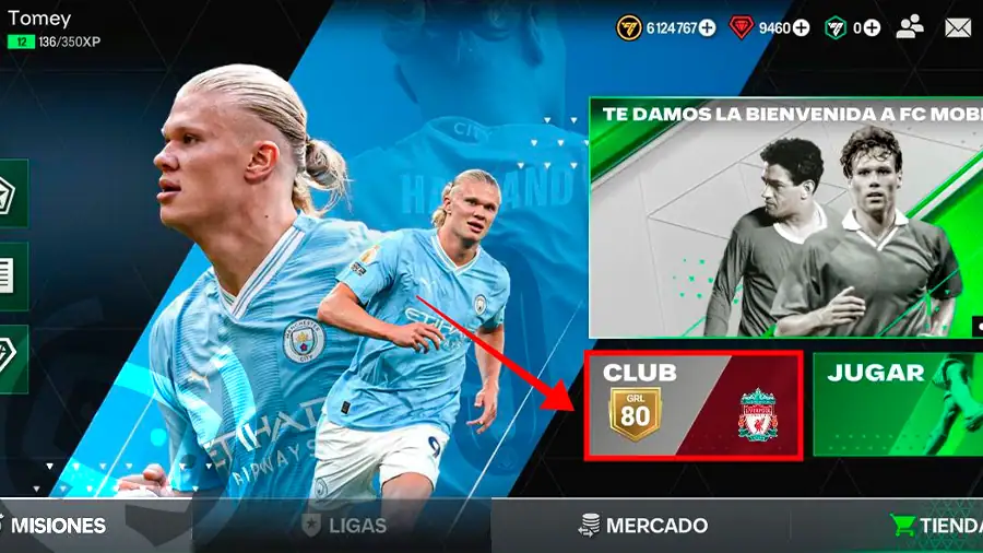 FC 24 personalizar