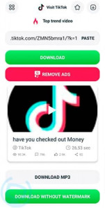 Cómo descargar TikTok sin marca de agua: Guía 2023