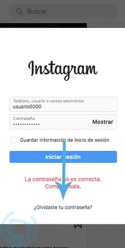 instagram se ha caido