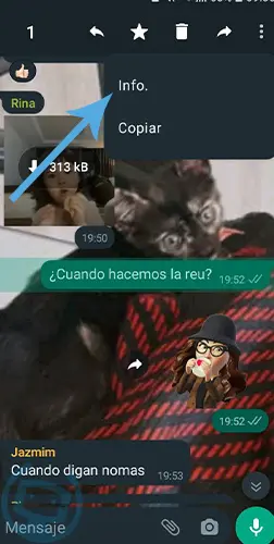 es posible saber si alguien leyó tus mensajes