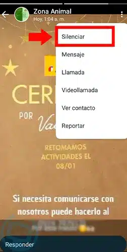 quien puede ver mi estado de whatsapp