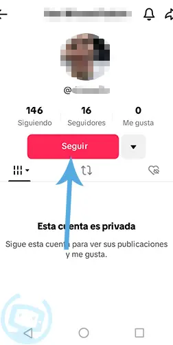 como puedo ver tiktok privado