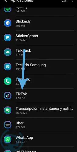 porque tiktok no funciona