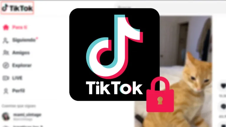como ver una cuenta privada de tiktok