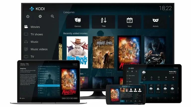 kodi revise la información de registro