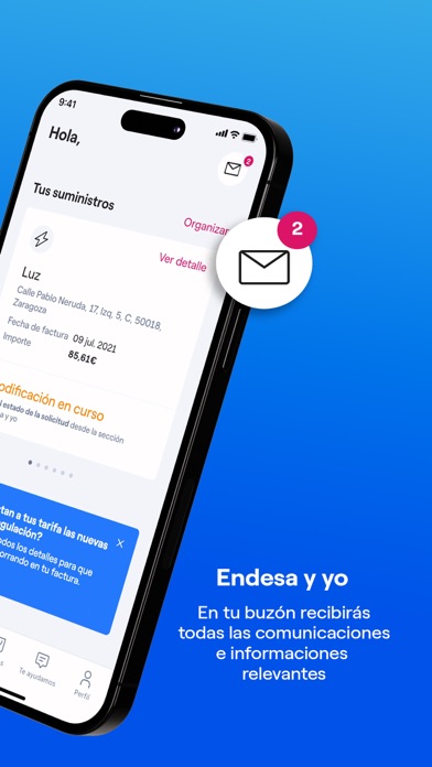 Captura oficial de Endesa Clientes, luz y gas