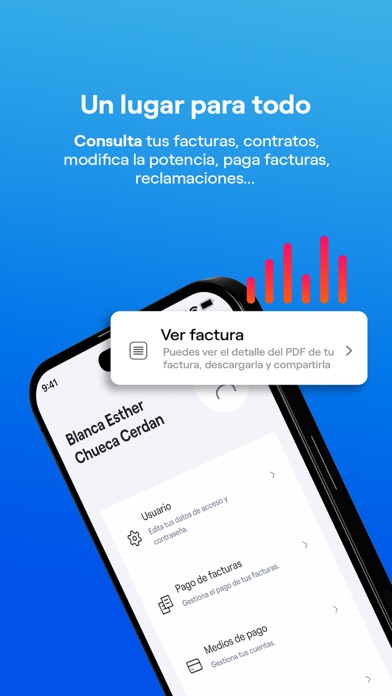 Captura oficial de Endesa Clientes, luz y gas