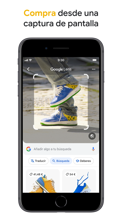 Captura oficial de Google