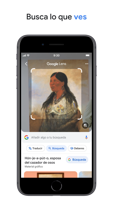 Captura oficial de Google