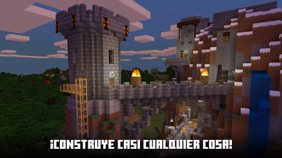 Captura oficial de Minecraft